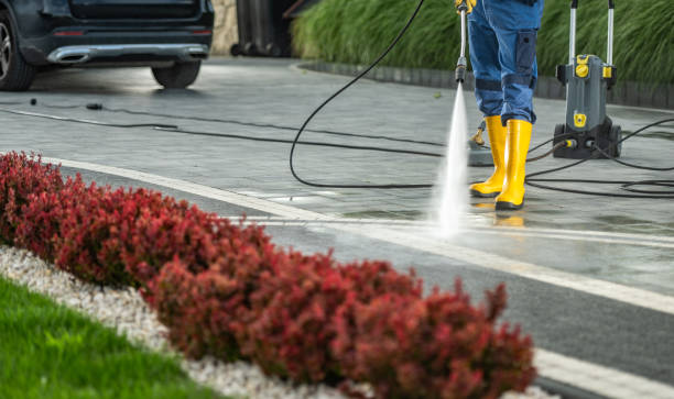 Best Garage Pressure Washing  in Braska City, NE