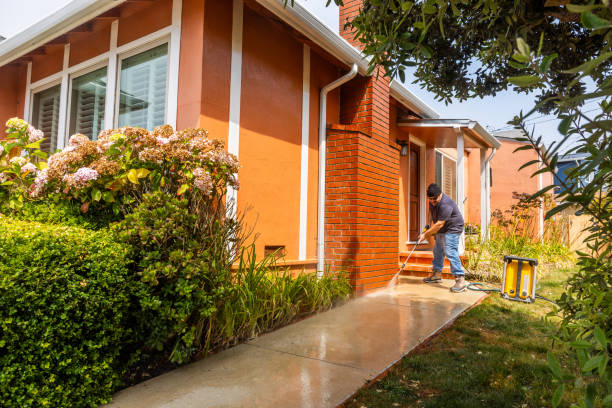 Best Pressure Washing Brick  in Braska City, NE