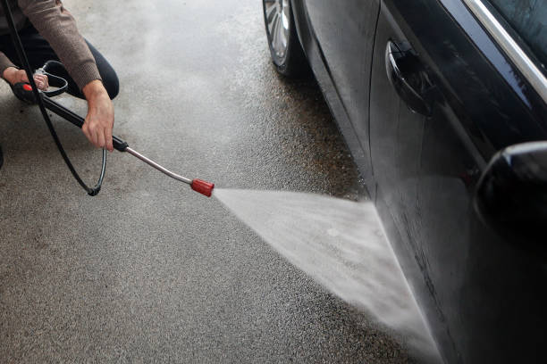Best Roof Pressure Washing  in Braska City, NE