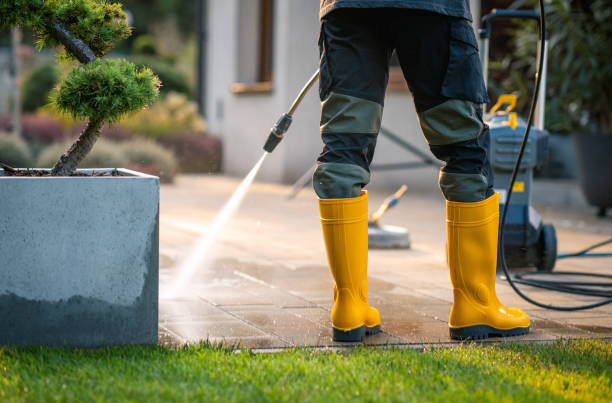 Best Power Washing Near Me  in Braska City, NE